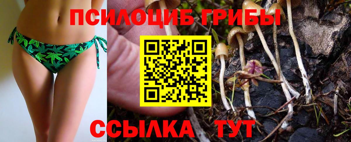 Псилоцибиновые грибы мухоморы  Вход с VPN  Нефтекамск 